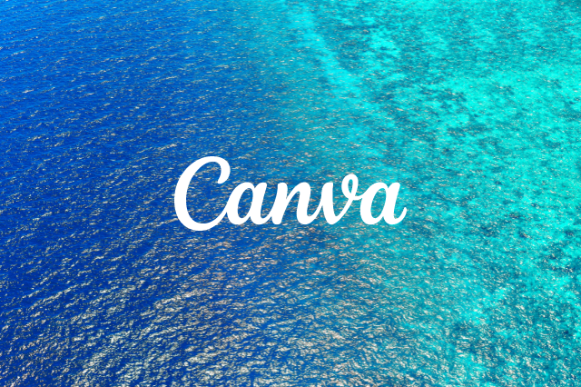 Looking for a Canva Review? [Check Out Ours]